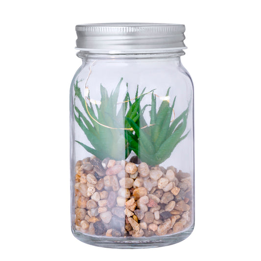 Planta Decorativa Kyala