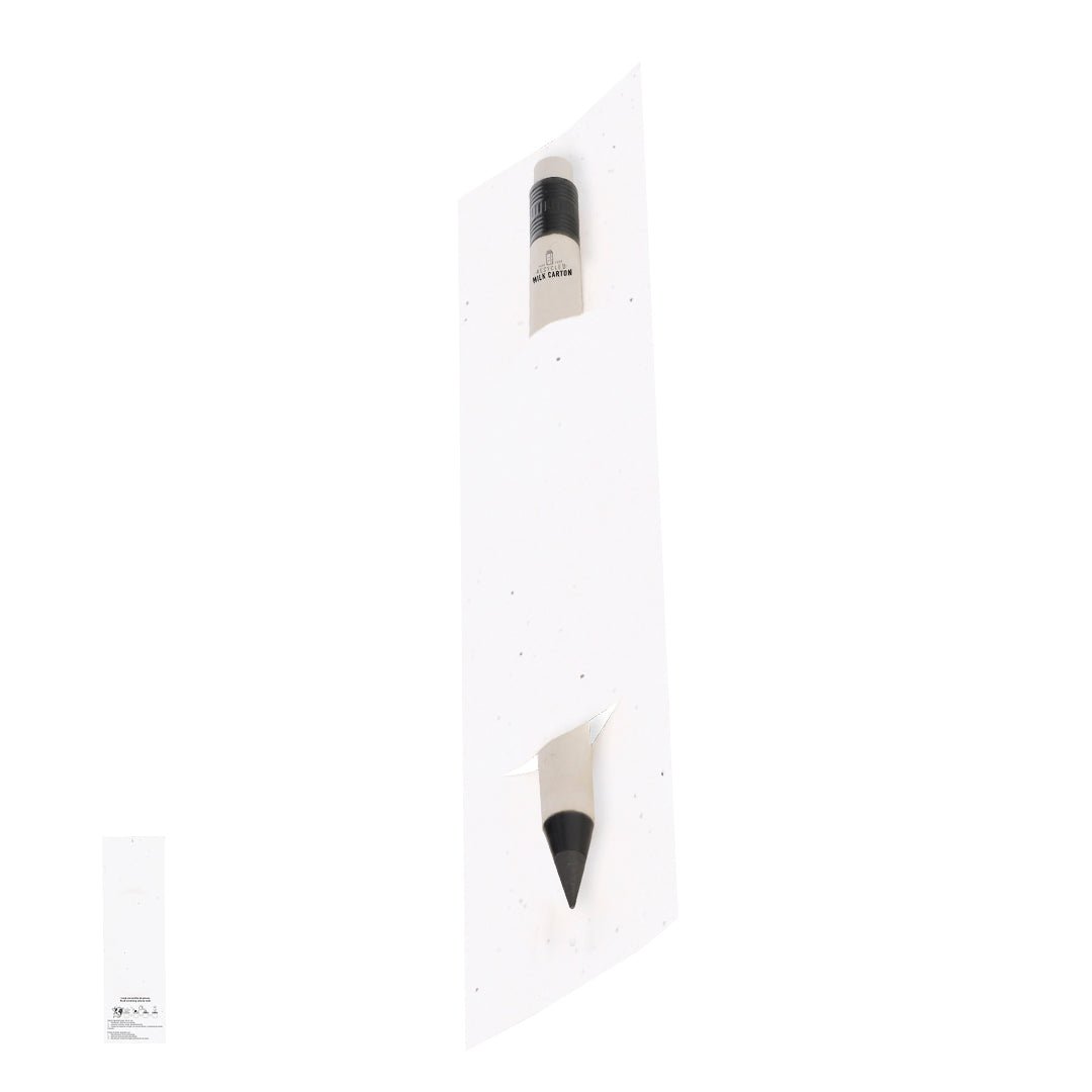 Lápiz Eterno Stauton