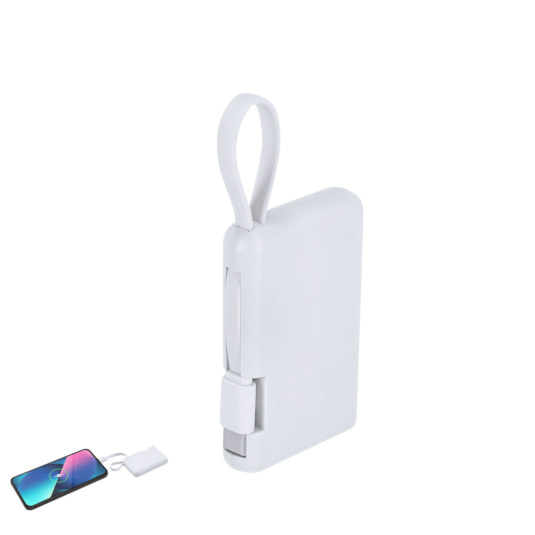 Power Bank Brandin