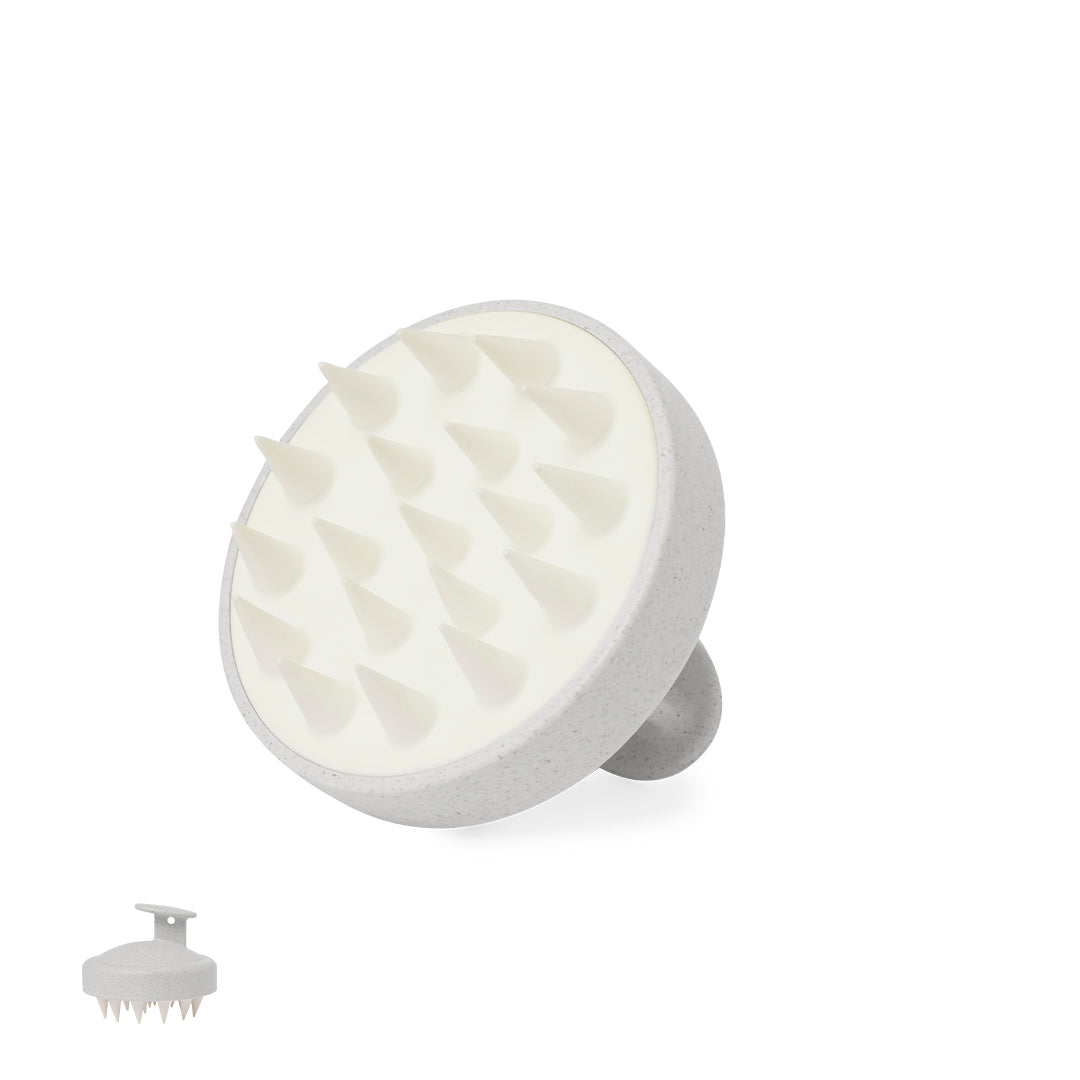 Emulsionador Nocote