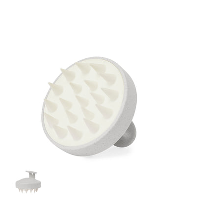 Emulsionador Nocote