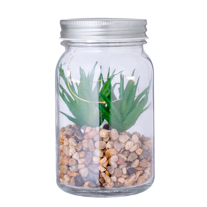 Planta Decorativa Kyala