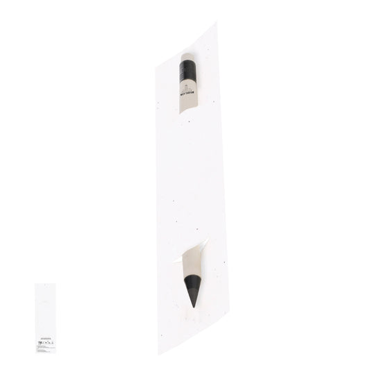 Lápiz Eterno Stauton